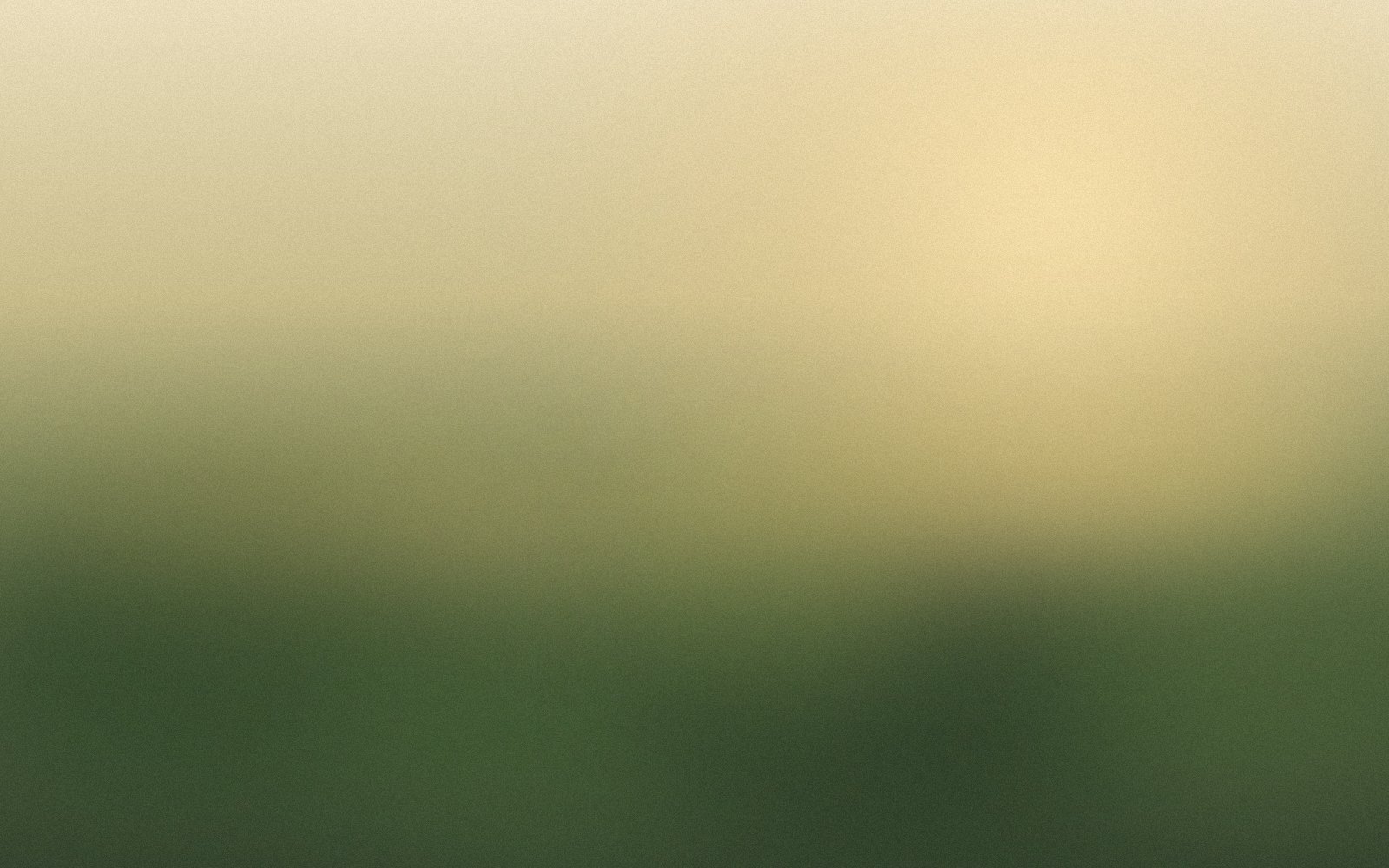 Golden-hour lawn gathering